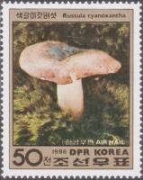 (1986-086) Марка Северная Корея "Сыроежка сине-жёлтая"   Грибы III Θ